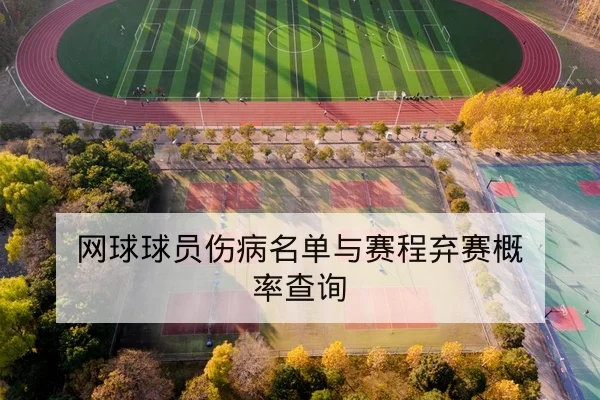 网球球员伤病名单与赛程弃赛概率查询